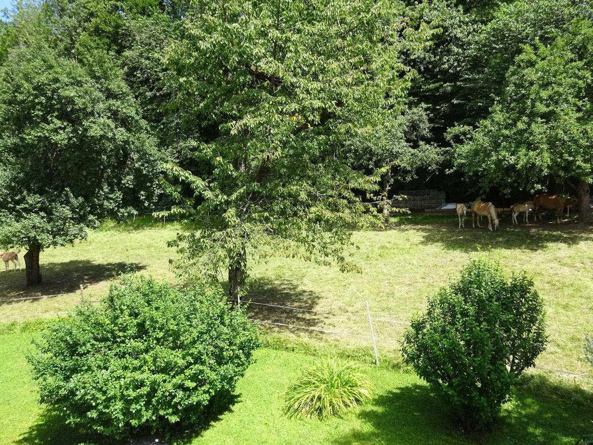 Ferienwohnungen Auhaus Bad Reichenhall Ngoại thất bức ảnh