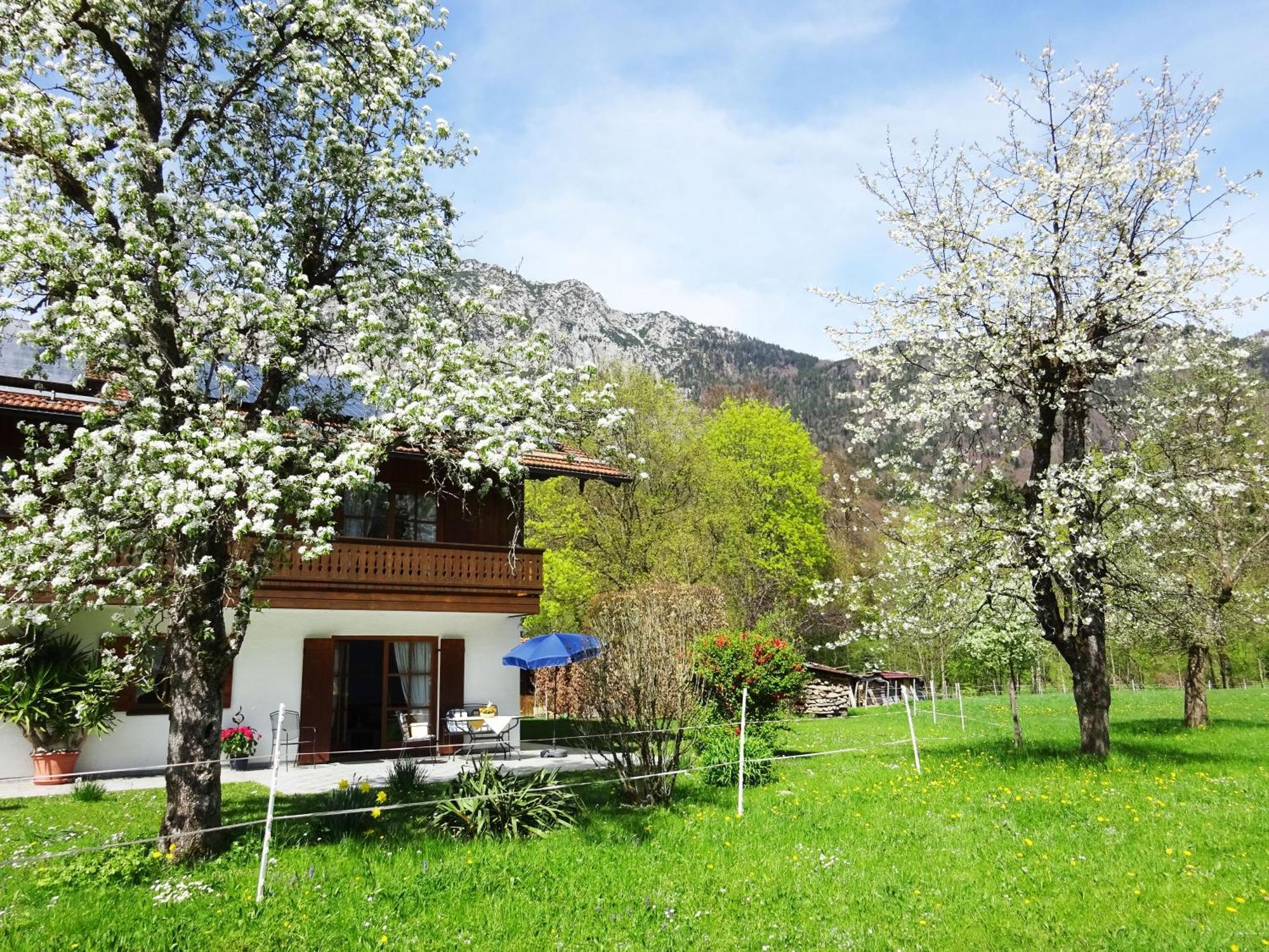 Ferienwohnungen Auhaus Bad Reichenhall Ngoại thất bức ảnh