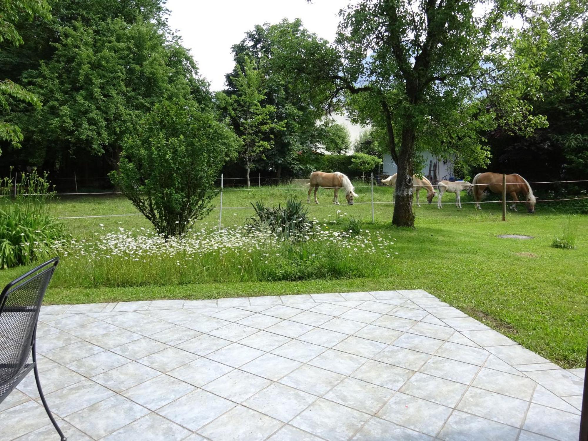 Ferienwohnungen Auhaus Bad Reichenhall Ngoại thất bức ảnh